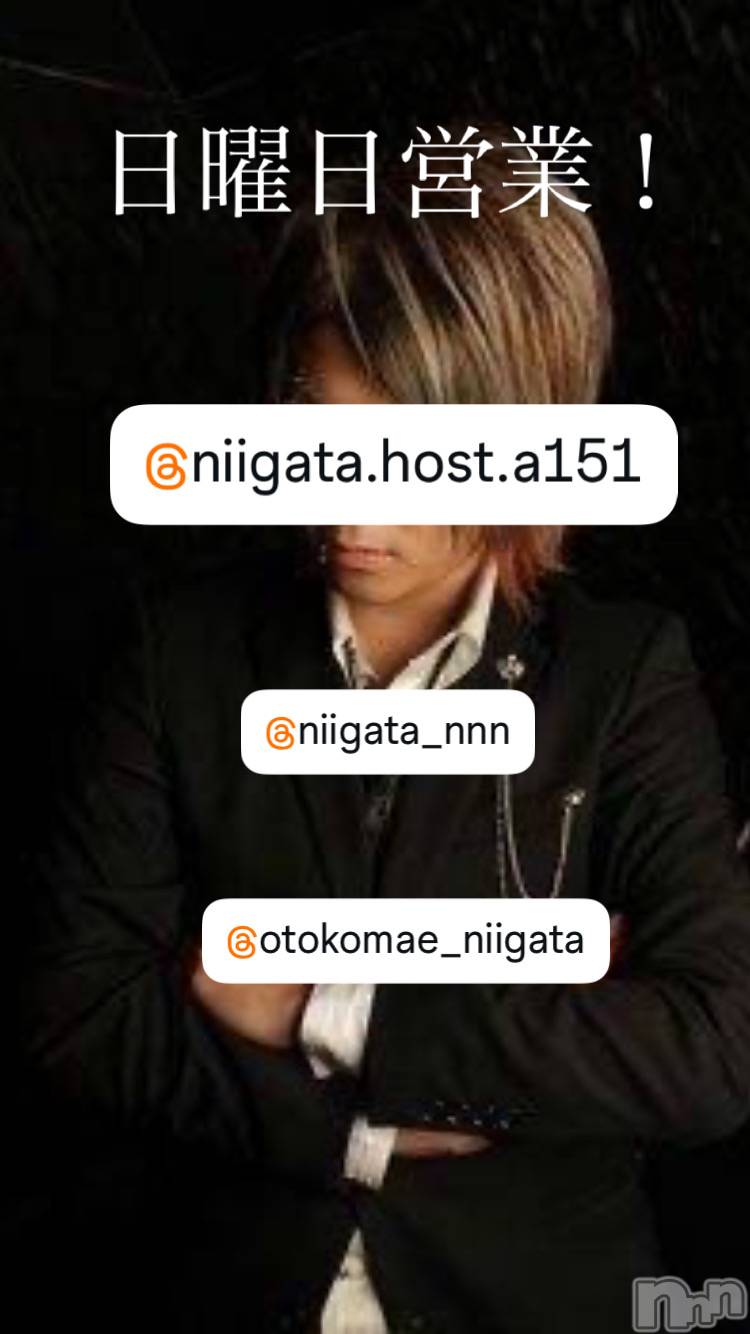 ��Į�ۥ��ȡ��ܡ������С�A151(�����������ݥ���) ��2026ǯ4��5���̥�֥�������������