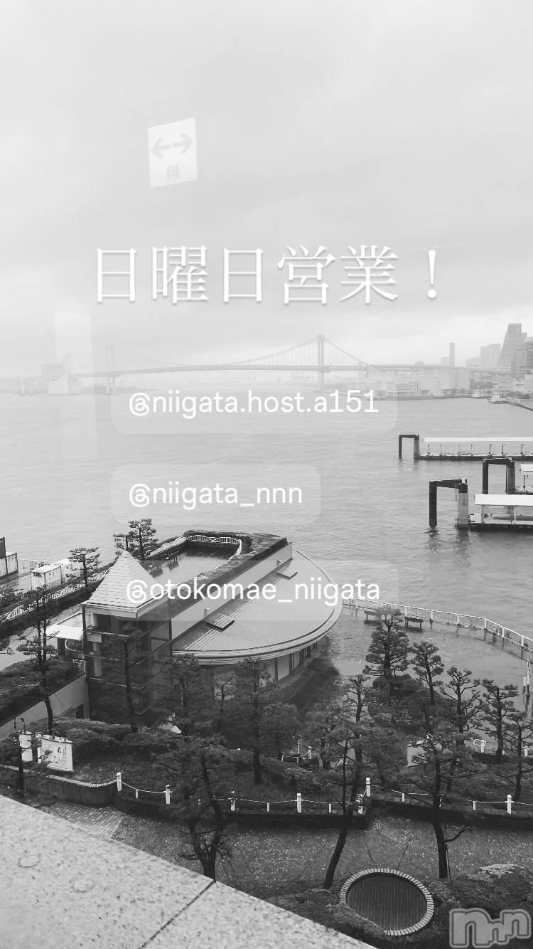 ��Į�ۥ��ȡ��ܡ������С�A151(�����������ݥ���) ��2026ǯ4��12���̥�֥�������������