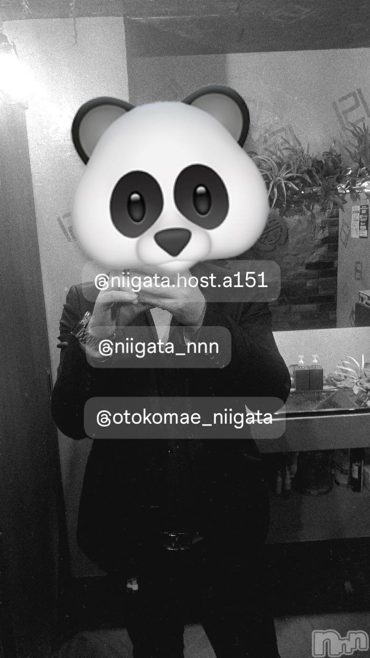 ��Į�ۥ��ȡ��ܡ������С�A151(�����������ݥ���) ��2026ǯ4��13���̥�֥����ַ�������