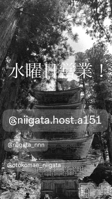 ��Į�ۥ��ȡ��ܡ������С�A151(�����������ݥ���) ��2026ǯ4��22���̥�֥����ֿ�������