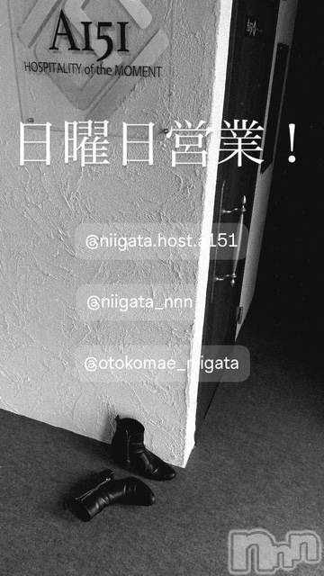 ��Į�ۥ��ȡ��ܡ������С�A151(�����������ݥ���) ��2026ǯ4��26���̥�֥�������������