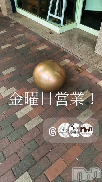 ��Į�ۥ��ȡ��ܡ������С�A151(�����������ݥ���) ��2026ǯ7��17���̥�֥����ֶ�������