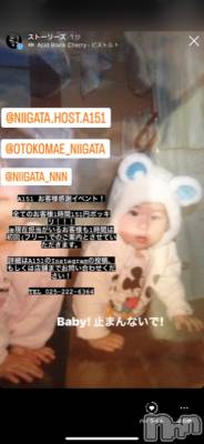 ��Į�ۥ��ȡ��ܡ������С�A151(�����������ݥ���) �褦(18)��7��24���̥�֥�������������