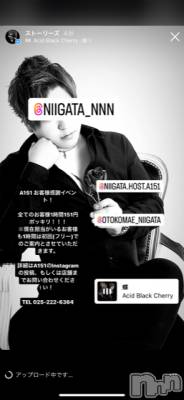 ��Į�ۥ��ȡ��ܡ������С�A151(�����������ݥ���) �褦(18)��8��7���̥�֥�������������