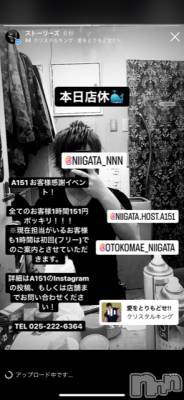 ��Į�ۥ��ȡ��ܡ������С�A151(�����������ݥ���) �褦(18)��8��9���̥�֥����ֲ�������