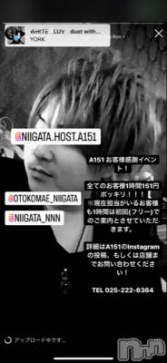 ��Į�ۥ��ȡ��ܡ������С�A151(�����������ݥ���) �褦(18)��8��11���̥�֥�������������