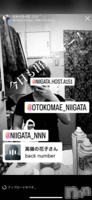 ��Į�ۥ��ȡ��ܡ������С�A151(�����������ݥ���) �褦(18)��9��8���̥�֥�������������