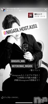 ��Į�ۥ��ȡ��ܡ������С�A151(�����������ݥ���) �褦(18)��9��14���̥�֥����ֿ�������