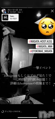 ��Į�ۥ��ȡ��ܡ������С�A151(�����������ݥ���) �褦(18)��9��17���̥�֥�������������