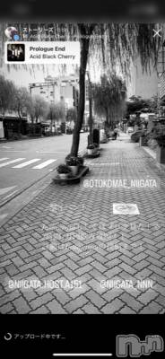 ��Į�ۥ��ȡ��ܡ������С�A151(�����������ݥ���) �褦(18)��9��21���̥�֥����ֿ�������