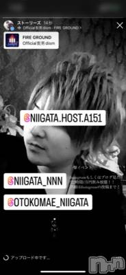 ��Į�ۥ��ȡ��ܡ������С�A151(�����������ݥ���) �褦(18)��9��25���̥�֥�������������