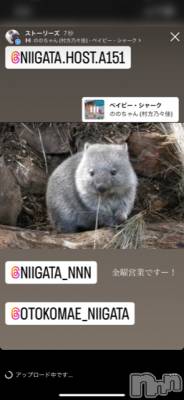 ��Į�ۥ��ȡ��ܡ������С�A151(�����������ݥ���) �褦(18)��10��7���̥�֥����ֶ�������