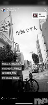 ��Į�ۥ��ȡ��ܡ������С�A151(�����������ݥ���) �褦(18)��10��12���̥�֥����ֿ�������