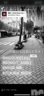 ��Į�ۥ��ȡ��ܡ������С�A151(�����������ݥ���) �褦(18)��10��23���̥�֥�������������