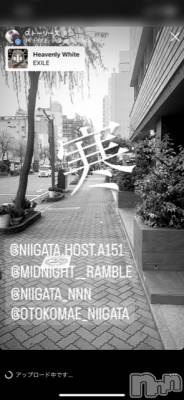 ��Į�ۥ��ȡ��ܡ������С�A151(�����������ݥ���) �褦(18)��10��26���̥�֥����ֿ�������