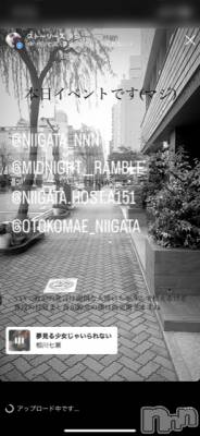 ��Į�ۥ��ȡ��ܡ������С�A151(�����������ݥ���) �褦(18)��11��3���̥�֥�������������