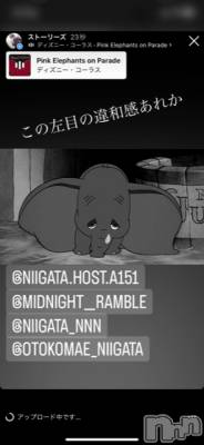 ��Į�ۥ��ȡ��ܡ������С�A151(�����������ݥ���) �褦(18)��11��5���̥�֥�������������