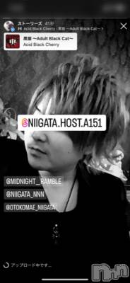 ��Į�ۥ��ȡ��ܡ������С�A151(�����������ݥ���) �褦(18)��11��12���̥�֥�������������