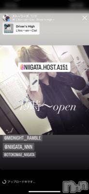 ��Į�ۥ��ȡ��ܡ������С�A151(�����������ݥ���) �褦(18)��11��16���̥�֥����ֿ�������