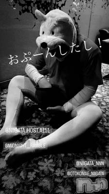 ��Į�ۥ��ȡ��ܡ������С�A151(�����������ݥ���) �褦(18)��7��12���̥�֥����ֿ�������