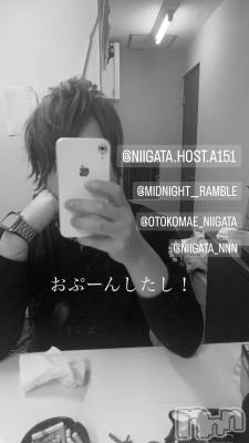 ��Į�ۥ��ȡ��ܡ������С�A151(�����������ݥ���) �褦(18)��7��15���̥�֥�������������