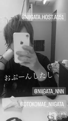 ��Į�ۥ��ȡ��ܡ������С�A151(�����������ݥ���) �褦(18)��7��26���̥�֥����ֿ�������