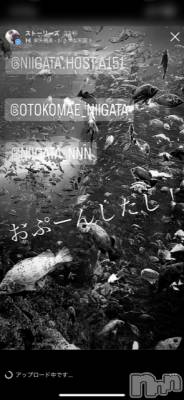 ��Į�ۥ��ȡ��ܡ������С�A151(�����������ݥ���) �褦(18)��7��28���̥�֥����ֶ�������