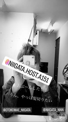 ��Į�ۥ��ȡ��ܡ������С�A151(�����������ݥ���) �褦(18)��7��29���̥�֥�������������