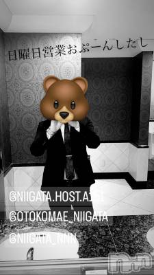 ��Į�ۥ��ȡ��ܡ������С�A151(�����������ݥ���) �褦(18)��7��30���̥�֥�������������