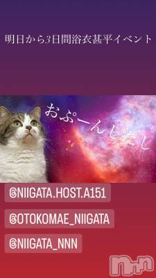 ��Į�ۥ��ȡ��ܡ������С�A151(�����������ݥ���) �褦(18)��8��3���̥�֥�������������