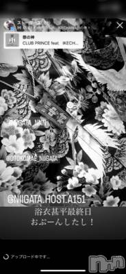 ��Į�ۥ��ȡ��ܡ������С�A151(�����������ݥ���) �褦(18)��8��6���̥�֥�������������