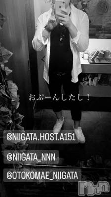 ��Į�ۥ��ȡ��ܡ������С�A151(�����������ݥ���) �褦(18)��8��9���̥�֥����ֿ�������