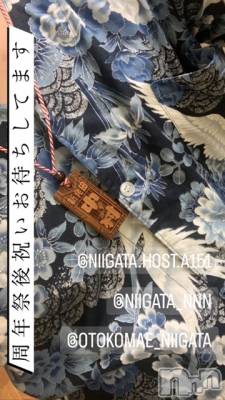 ��Į�ۥ��ȡ��ܡ������С�A151(�����������ݥ���) �褦(18)��8��27���̥�֥�������������