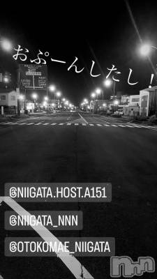 ��Į�ۥ��ȡ��ܡ������С�A151(�����������ݥ���) �褦(18)��8��30���̥�֥����ֿ�������