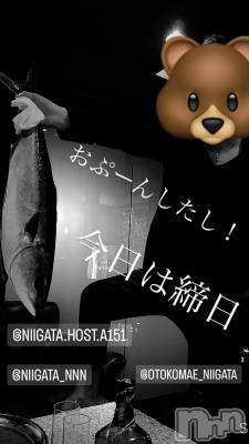 ��Į�ۥ��ȡ��ܡ������С�A151(�����������ݥ���) �褦(18)��8��31���̥�֥�������������