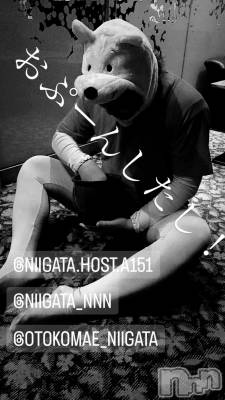 ��Į�ۥ��ȡ��ܡ������С�A151(�����������ݥ���) �褦(18)��9��6���̥�֥����ֿ�������