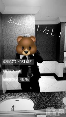 ��Į�ۥ��ȡ��ܡ������С�A151(�����������ݥ���) �褦(18)��9��7���̥�֥�������������