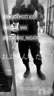 ��Į�ۥ��ȡ��ܡ������С�A151(�����������ݥ���) �褦(18)��9��9���̥�֥�������������