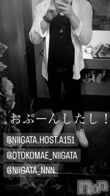 ��Į�ۥ��ȡ��ܡ������С�A151(�����������ݥ���) �褦(18)��9��17���̥�֥�������������