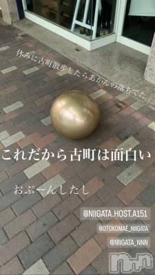 ��Į�ۥ��ȡ��ܡ������С�A151(�����������ݥ���) �褦(18)��9��20���̥�֥����ֿ�������