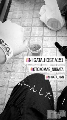 ��Į�ۥ��ȡ��ܡ������С�A151(�����������ݥ���) �褦(18)��9��27���̥�֥����ֿ�������