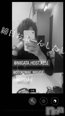 ��Į�ۥ��ȡ��ܡ������С�A151(�����������ݥ���) �褦(18)��9��30���̥�֥�������������