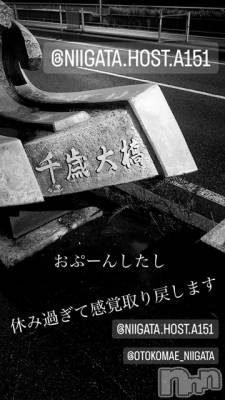 ��Į�ۥ��ȡ��ܡ������С�A151(�����������ݥ���) �褦(18)��10��4���̥�֥����ֿ�������