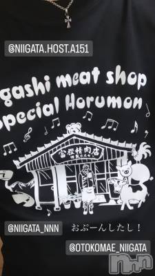 ��Į�ۥ��ȡ��ܡ������С�A151(�����������ݥ���) �褦(18)��10��6���̥�֥����ֶ�������