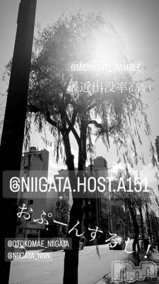 ��Į�ۥ��ȡ��ܡ������С�A151(�����������ݥ���) �褦(18)��10��11���̥�֥����ֿ�������