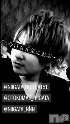 ��Į�ۥ��ȡ��ܡ������С�A151(�����������ݥ���) �褦(18)��10��12���̥�֥�������������