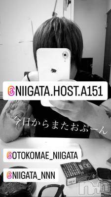 ��Į�ۥ��ȡ��ܡ������С�A151(�����������ݥ���) �褦(18)��10��18���̥�֥����ֿ�������