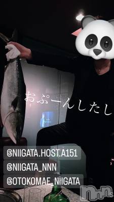 ��Į�ۥ��ȡ��ܡ������С�A151(�����������ݥ���) �褦(18)��10��19���̥�֥�������������