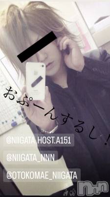 ��Į�ۥ��ȡ��ܡ������С�A151(�����������ݥ���) �褦(18)��10��25���̥�֥����ֿ�������