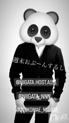 ��Į�ۥ��ȡ��ܡ������С�A151(�����������ݥ���) �褦(18)��10��28���̥�֥�������������